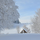 Winter 110119_89.JPG