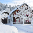 Winter 110119_94.JPG