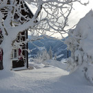 Winter 110119_95.JPG