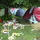 1420654.jpg
