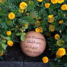 Sulz Pederiva G .JPG