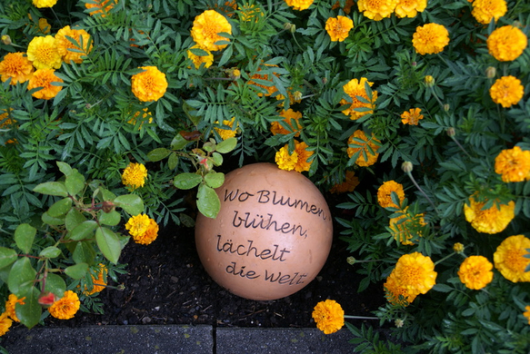 Sulz Pederiva G .JPG