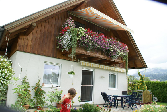 Sulz Pederiva G  _2_.JPG