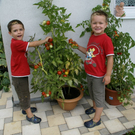 Sulz Pederiva G  _3_.JPG