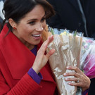AFP_1C812N.jpg