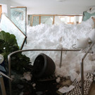 ABD0137-20190114.jpg