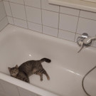 20181218_072950.jpg