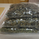 20190115 PI Krems Foto 4.jpg