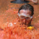 3_606625.jpg
