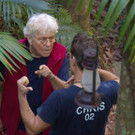 3_606651.jpg