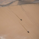 AFP_1CB0T2.jpg