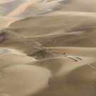 Peru_Dakar_Rally_43121.jpg