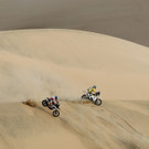 Peru_Dakar_Rally_75933.jpg
