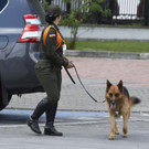 AFP_1CC1IL.jpg