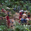 3_607671.jpg