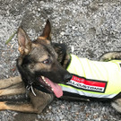 Drogenfund in Feldkirch-Nofels