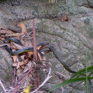 3_607840.jpg