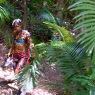 3_607843.jpg