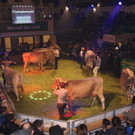 DSC04311.JPG