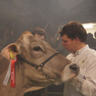 DSC04335.JPG