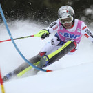 Switzerland_Alpine_Skiing_World_Cup_28118.jpg