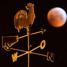 ABD0017-20190121.jpg