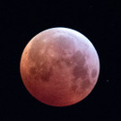 ABD0007-20190121.jpg