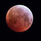 ABD0006-20190121.jpg
