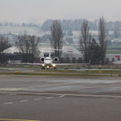 IMG_9919.JPG