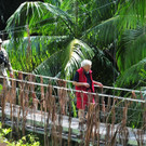 3_608207.jpg