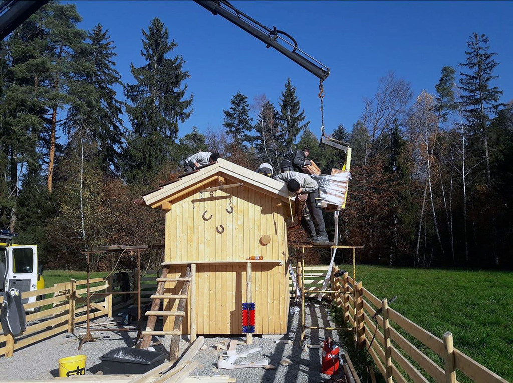 Ziegenstall_Bau.jpg
