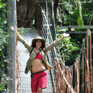 3_608383.jpg