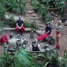 3_608632.jpg