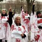 Bilder der Performance