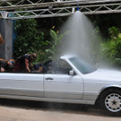 3_608683.jpg