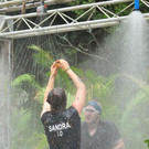 3_608694.jpg