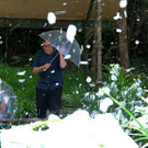 3_608700.jpg