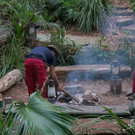 3_608747.jpg
