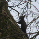 IMG_1364.JPG