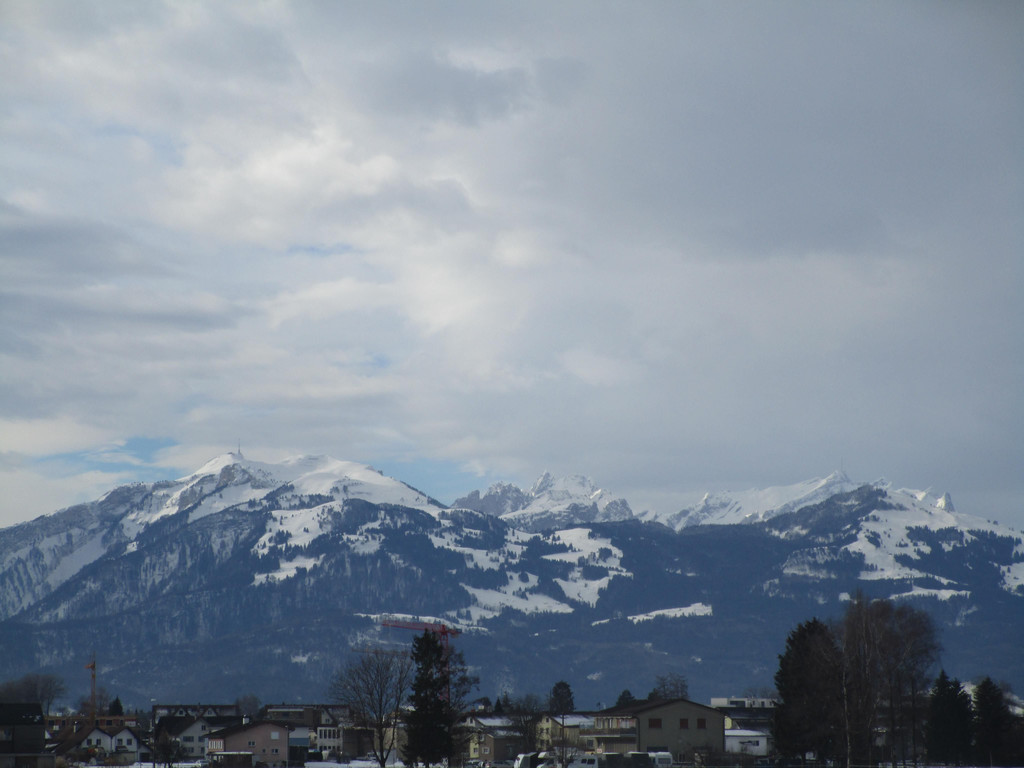 IMG_1373.JPG