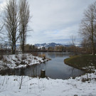 IMG_1361.JPG