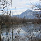 IMG_1377.JPG