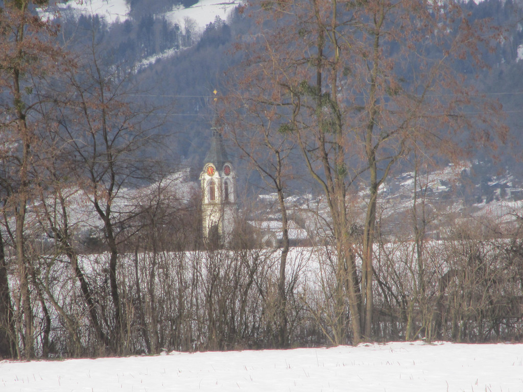 IMG_1383.JPG