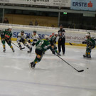 DSC05684.JPG