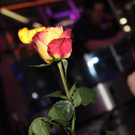 IMG_0391_jpg-1548608144.jpg