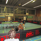 IMG_3636.jpg