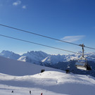 Skifox2.jpg
