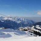 Skifox3.jpg