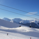 Skifox4.jpg