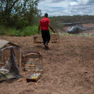 AFP_1CQ4A8.jpg